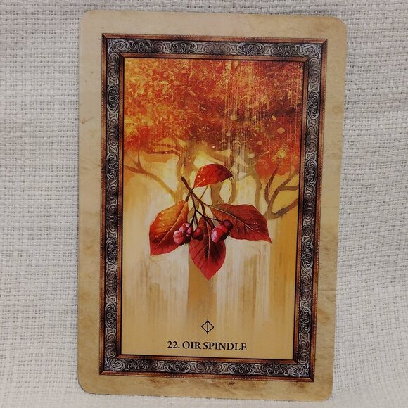 Celtic Tree Oracle - Picture 11 of 12